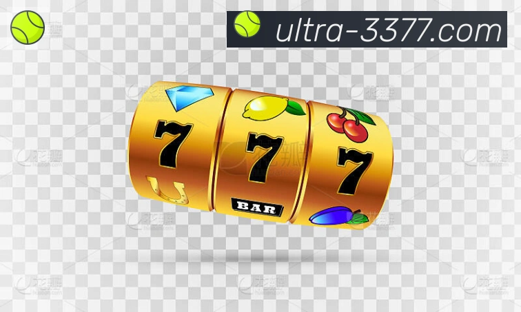 3377体育荣誉